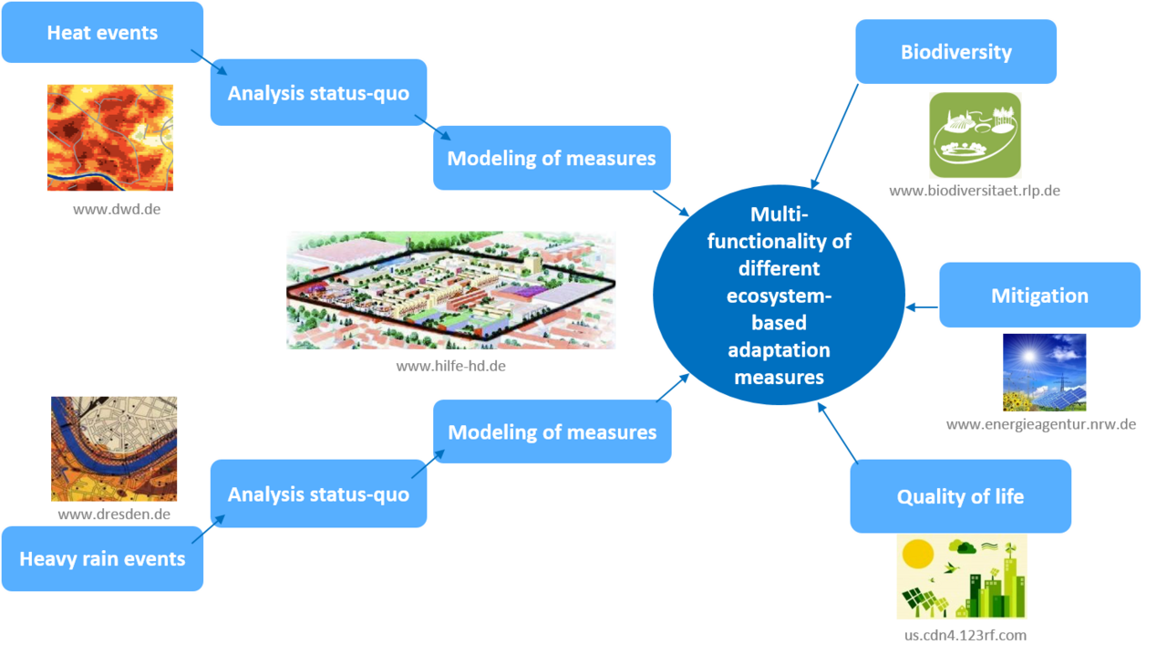 A flow chart about the topics of work package 2.4 (Multifunctionality of different ecosystem based adaptation measures) is displayed. The influences of biodversity, mitigation, quality of life, heat events and heavy rain events on status-quo and future will be analysed by modeling of measures.