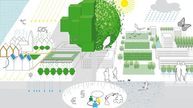Ein Baum und seine Funktionen stehen im Mittelpunkt eines Schaubildes einer Stadt mit verschiedenen Gebäudetypen, Flora, Fauna, Menschen und Klima durch Sonne und Niederschlag.