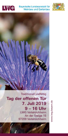 Titelbild des Tags der offenen Tür der LWG. Eine Biene vor einer blühenden Pflanze im Hintergrund.