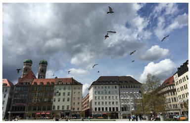 Der Marienhof in München ist dargestellt. Mehrere Gebäude hinter einem öffentlichen Platz mit mehreren Menschen und Bäumen sind sichtbar. Dominiert wird das Bild von der Perspektive, da es von unten nach oben fotographiert wurde und so der Himmel mit starker Bewölkung in den Vordergrund rückt.