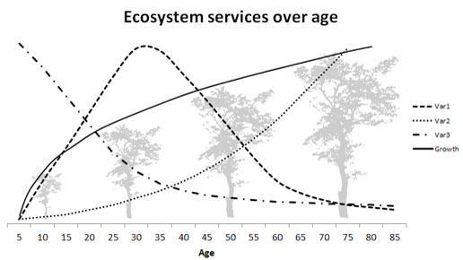 Das Schaubild von TP3 (Stadtbäume im Klimawandel II). Dargestellt ist ein Liniendiagramm verschiedener, nicht benannter Umweltleistungen von Stadtbäumen über zunehmendes Alter sowie das Baumwachstum.