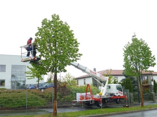 Bild von zwei Personen auf einem Hubsteiger in einer Baumkrone.